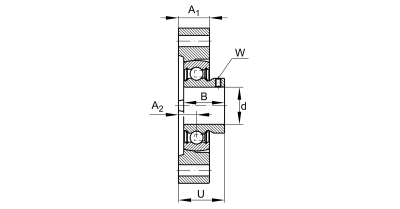 INA Flenslagerblok gietijzer :: FLCTEY20-XL :: 2