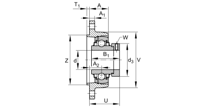 INA Flanged ball bearing unit cast iron :: RCJTZ25-XL :: 2