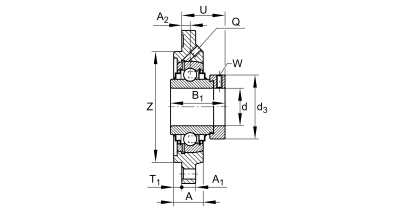 INA Flanged ball bearing unit cast iron :: RFE30-XL :: 2