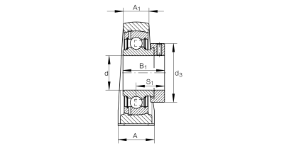 INA Kussenlagerblok gietijzer :: PSHE25-XL-N :: 2