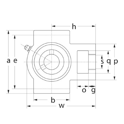 SLB Spanlagerblok gietijzer 17mm :: UCT 203 :: 2