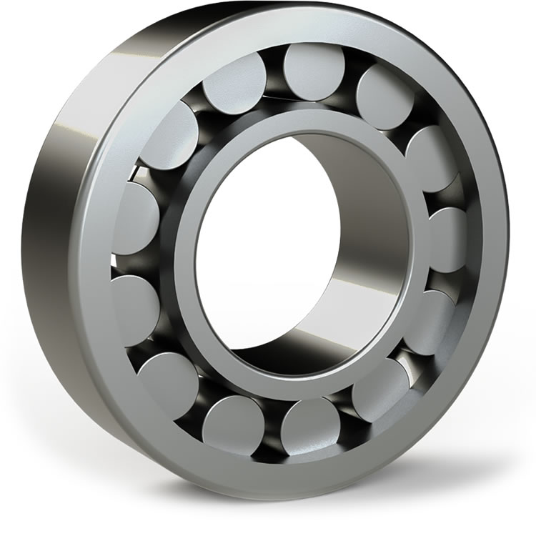 SKF Cilinderlager 1R (50x110x27) :: NJ 310 ECP/C4