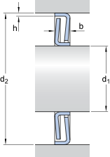 SKF Afdichtingsring (20x42x5) :: Z 004 :: 1